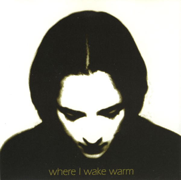 Cover of Where I Wake Warm