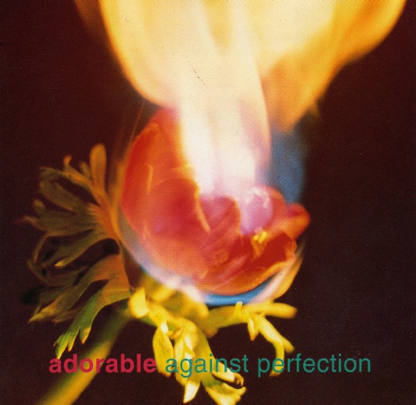 Cover of Against Perfection